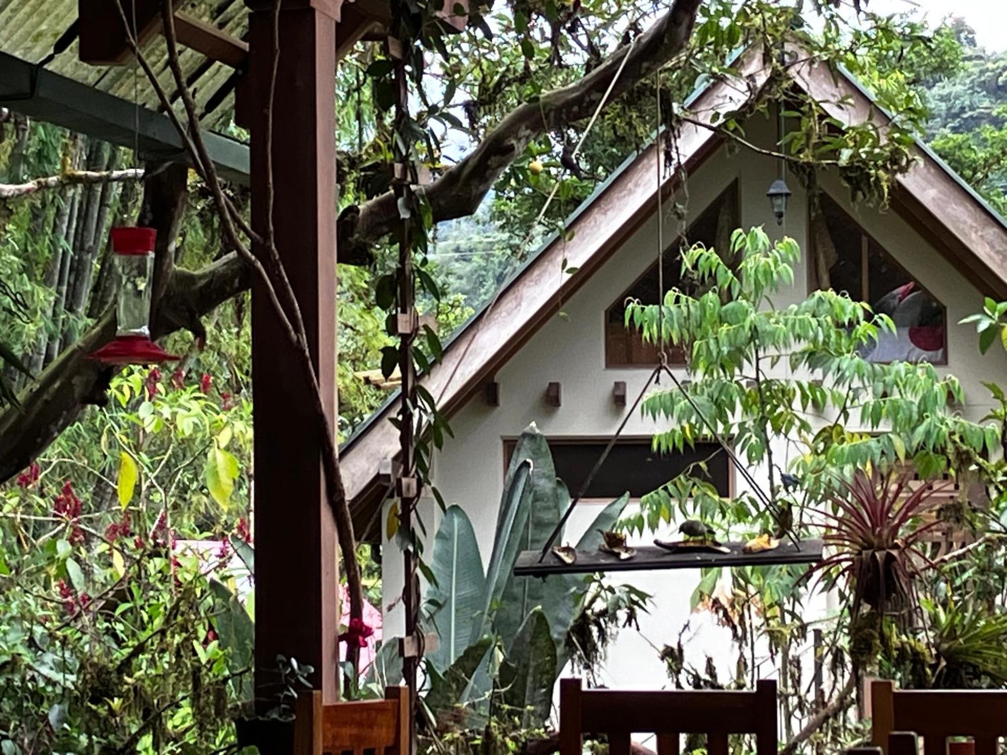 Casa Del Rio En Mindo Bed & Breakfast Luaran gambar