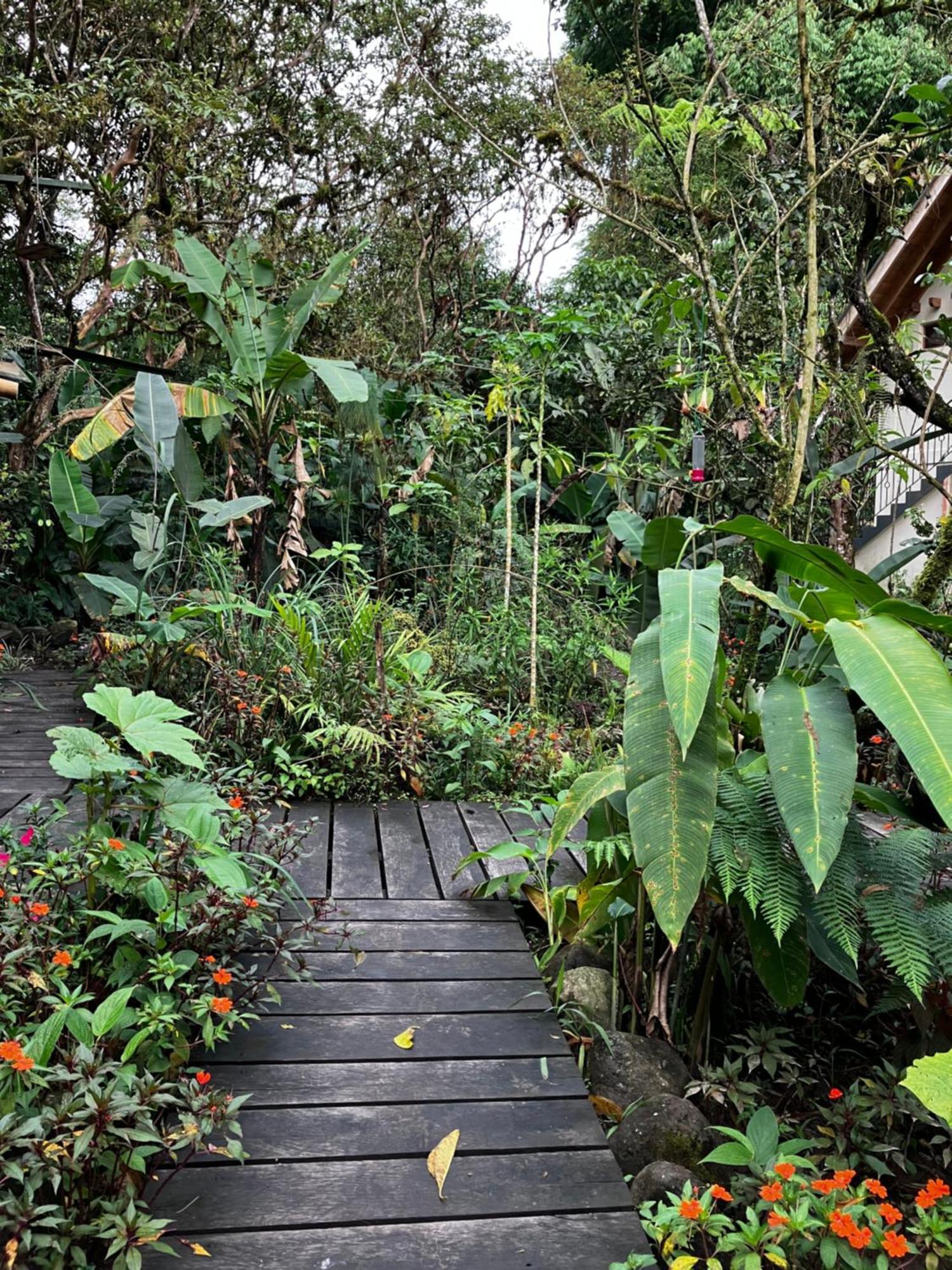 Casa Del Rio En Mindo Bed & Breakfast Luaran gambar