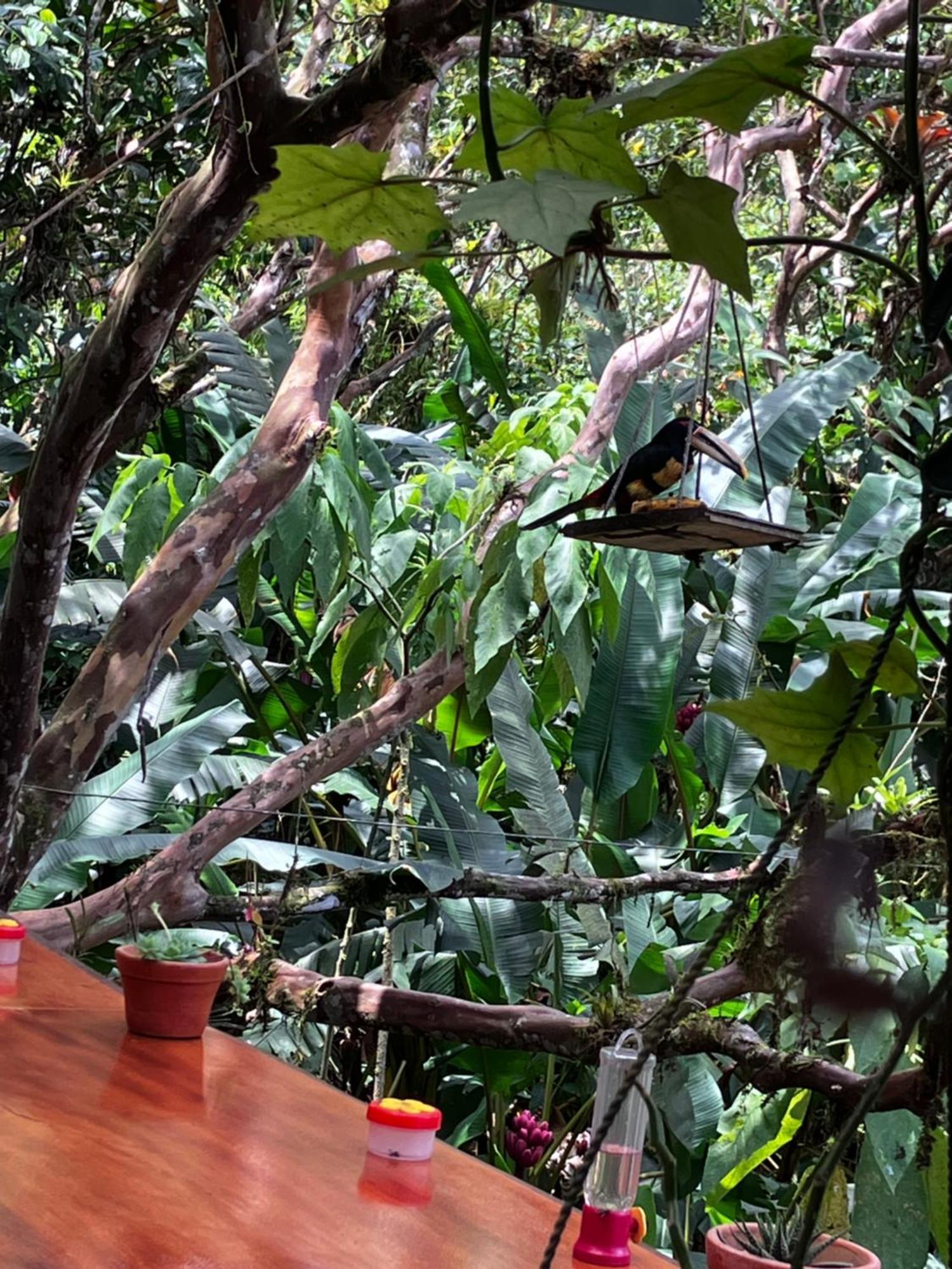 Casa Del Rio En Mindo Bed & Breakfast Luaran gambar