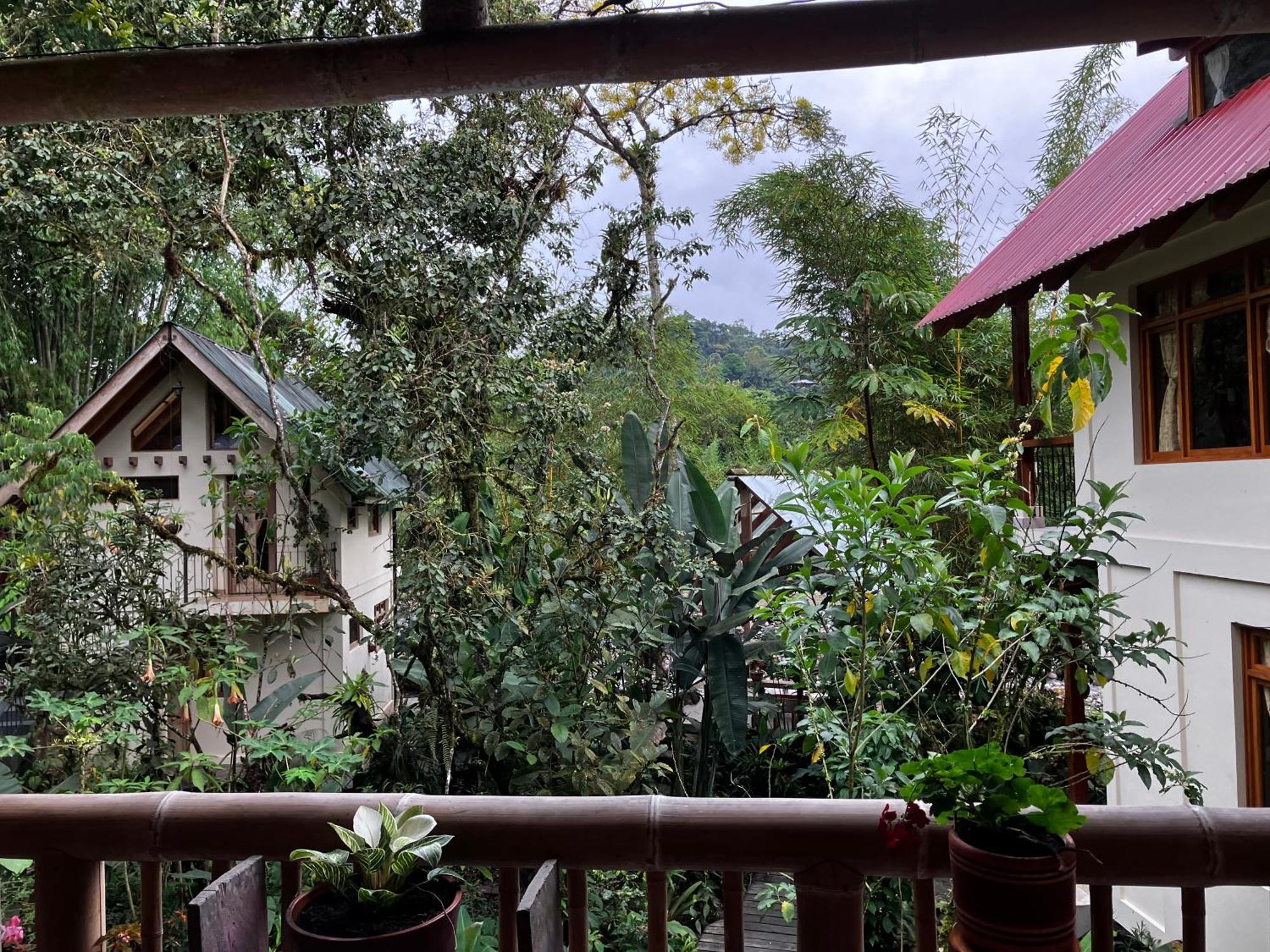 Casa Del Rio En Mindo Bed & Breakfast Luaran gambar