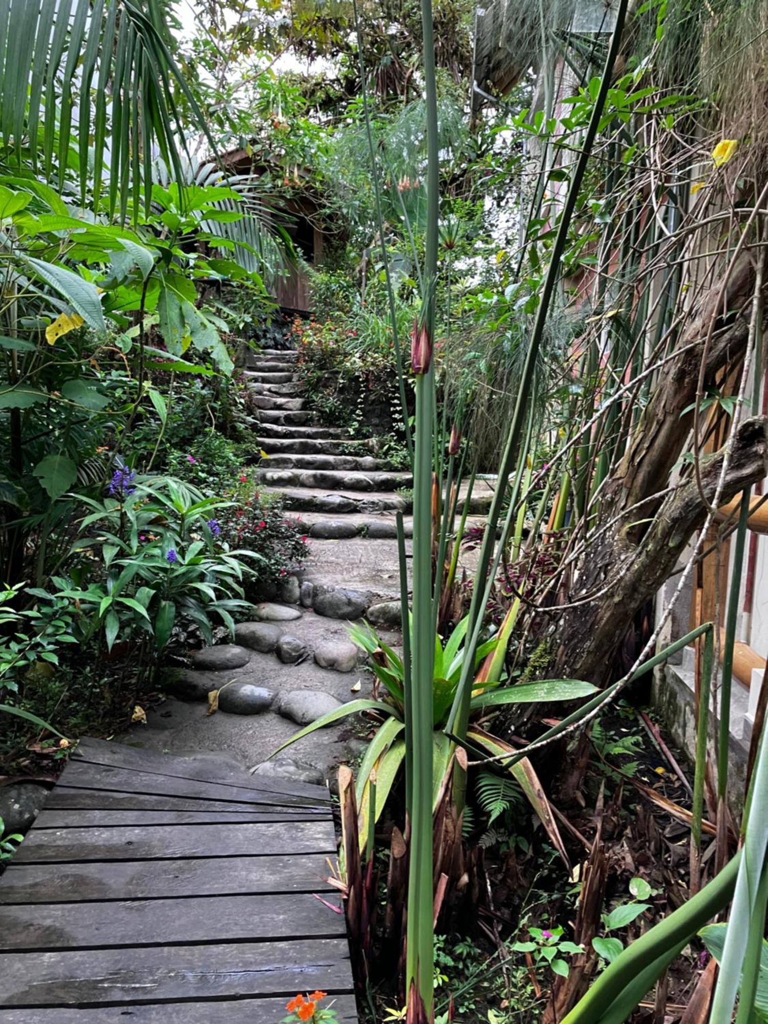 Casa Del Rio En Mindo Bed & Breakfast Luaran gambar