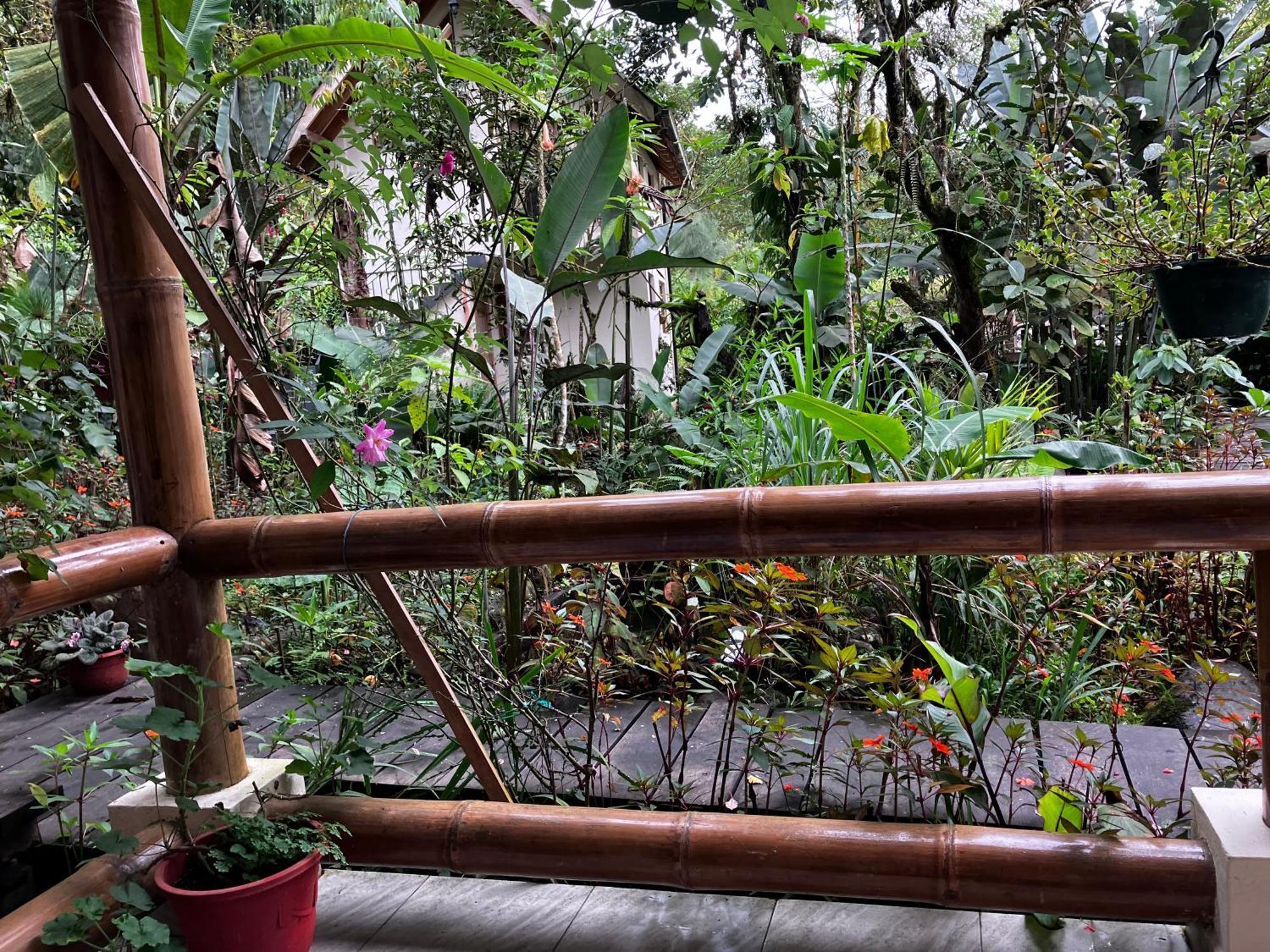 Casa Del Rio En Mindo Bed & Breakfast Luaran gambar