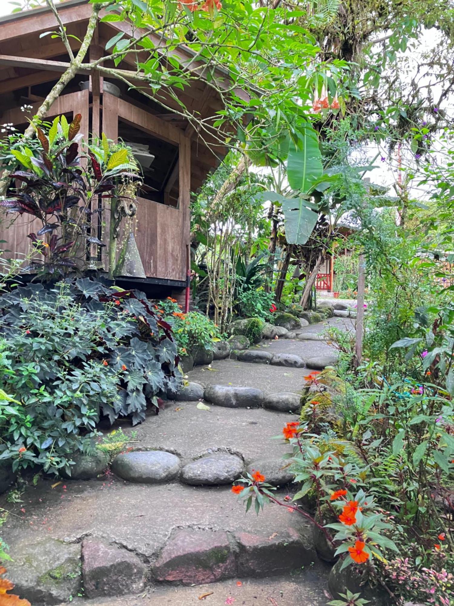 Casa Del Rio En Mindo Bed & Breakfast Luaran gambar