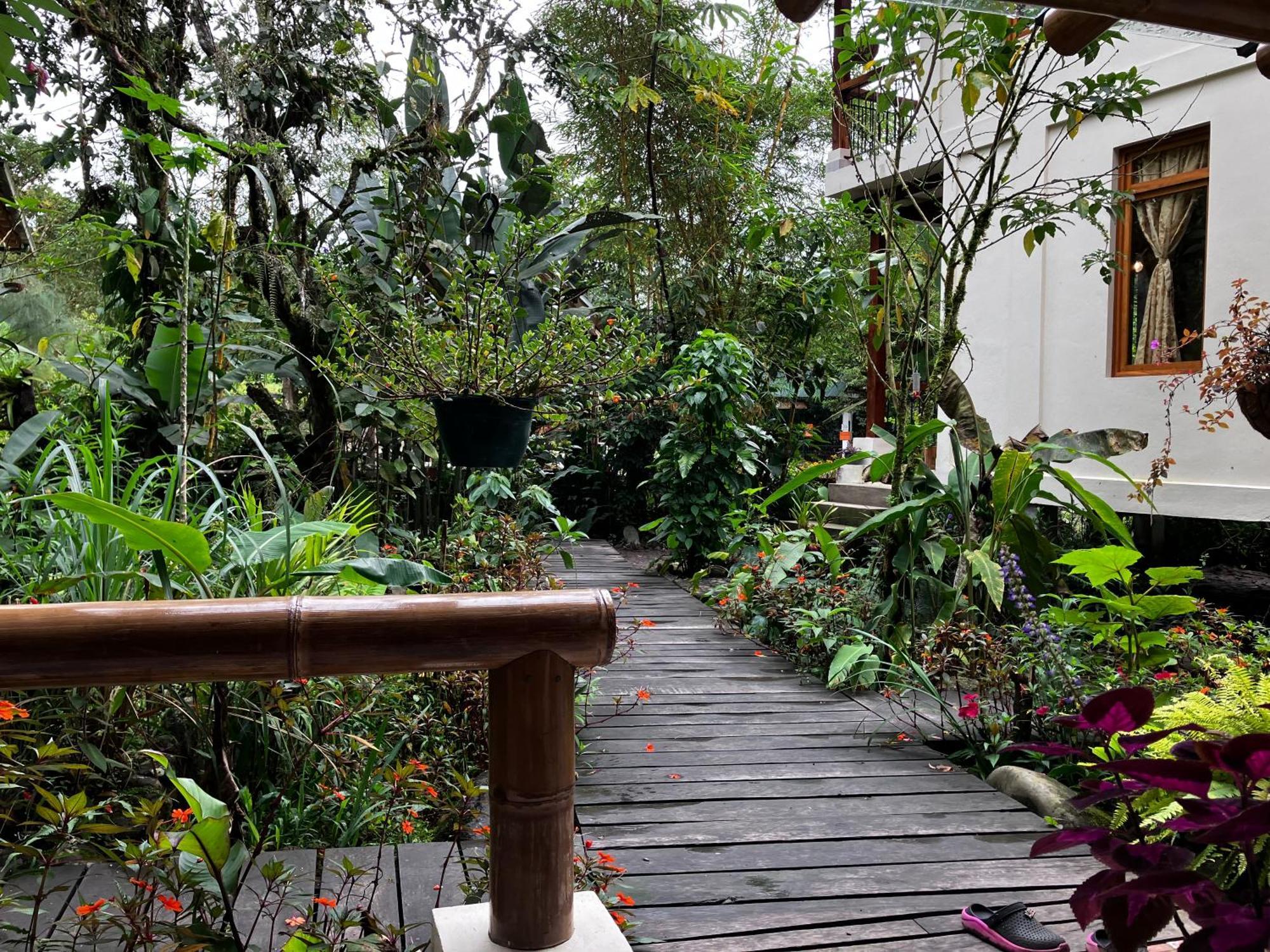 Casa Del Rio En Mindo Bed & Breakfast Luaran gambar
