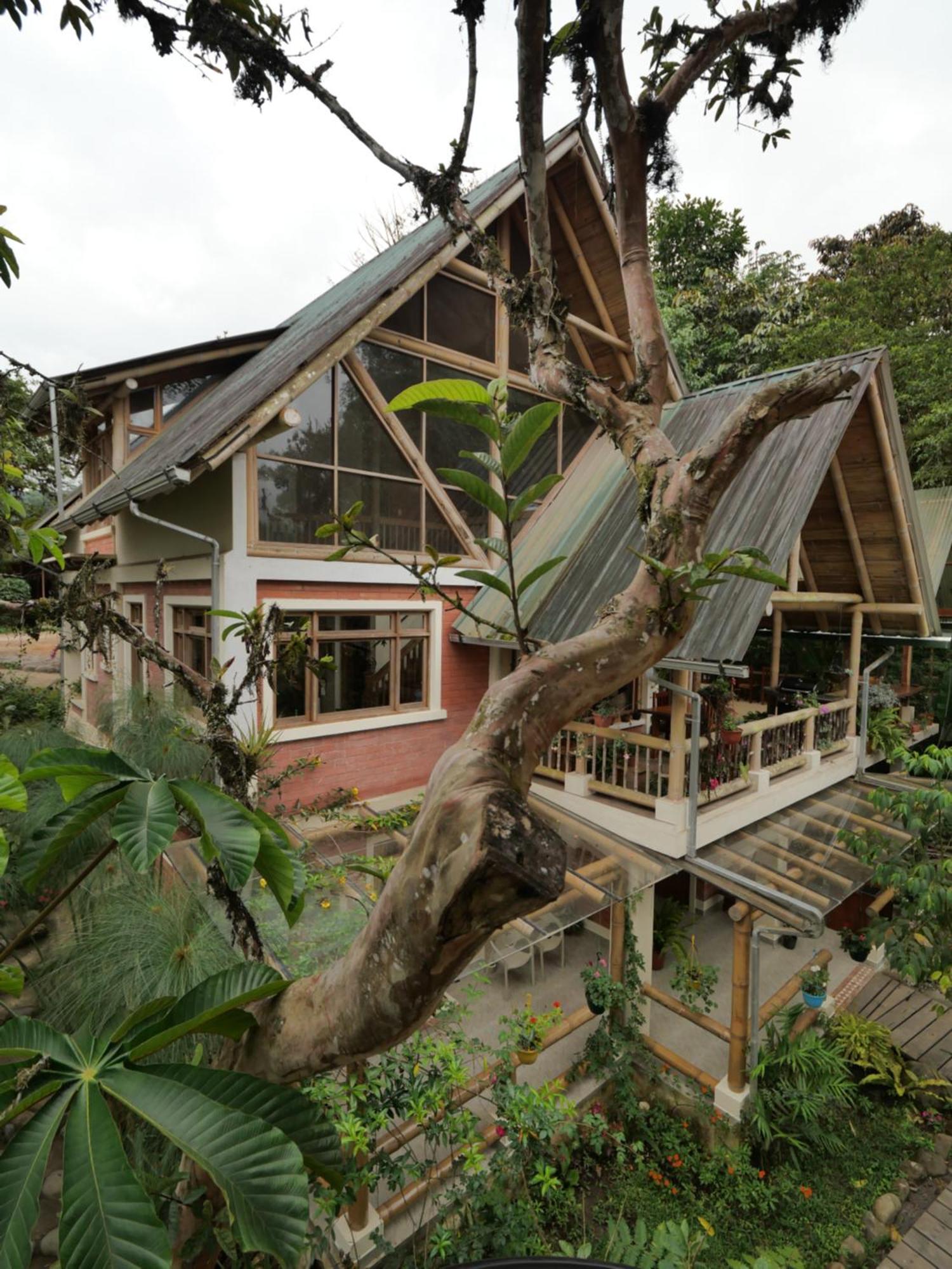 Casa Del Rio En Mindo Bed & Breakfast Luaran gambar